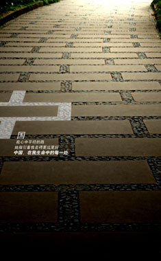 一等奖 中国在我生命中的每一处3 作者：蔡瑞.jpg